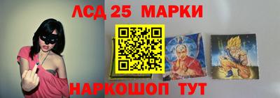 гашик Новодвинск