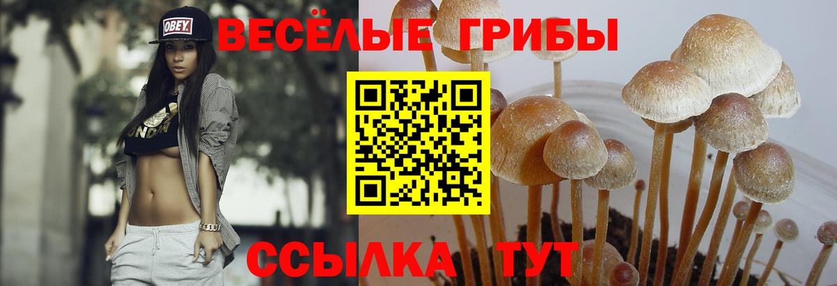Псилоцибиновые грибы Psilocybine cubensis  Псилоцибиновые грибы мухоморы  Анапа  Вход с VPN 
